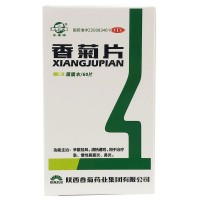 东泰 香菊片0.32g*60片  1盒 治疗鼻炎鼻窦炎