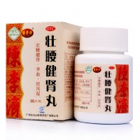 白云山 陈李济 壮腰健肾丸 35g 风湿骨痛 壮腰健肾 祛风湿